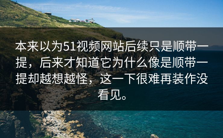 本来以为51视频网站后续只是顺带一提，后来才知道它为什么像是顺带一提却越想越怪，这一下很难再装作没看见。