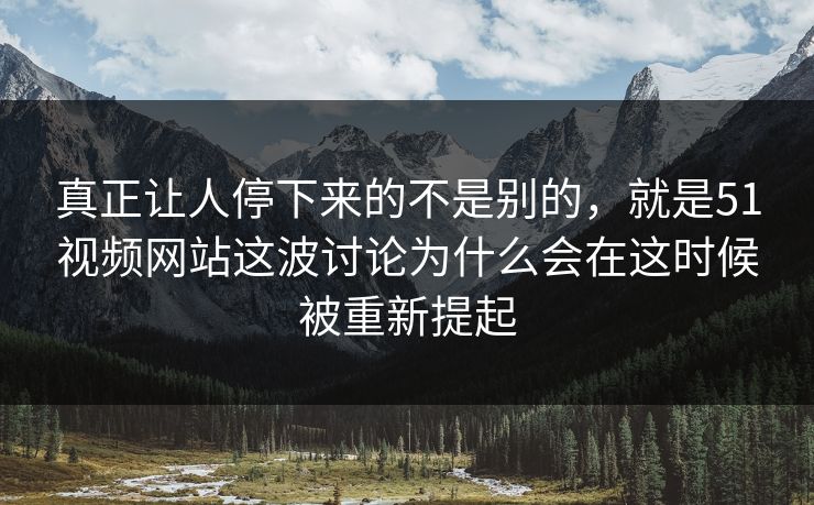 真正让人停下来的不是别的，就是51视频网站这波讨论为什么会在这时候被重新提起