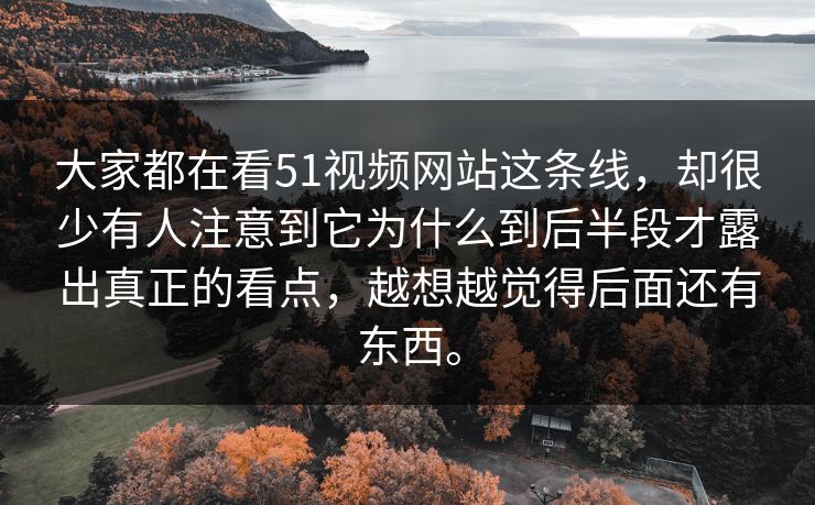 大家都在看51视频网站这条线，却很少有人注意到它为什么到后半段才露出真正的看点，越想越觉得后面还有东西。