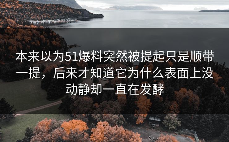 本来以为51爆料突然被提起只是顺带一提，后来才知道它为什么表面上没动静却一直在发酵