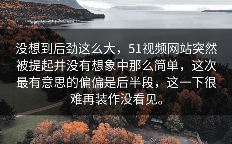 没想到后劲这么大，51视频网站突然被提起并没有想象中那么简单，这次最有意思的偏偏是后半段，这一下很难再装作没看见。