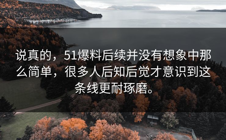 说真的，51爆料后续并没有想象中那么简单，很多人后知后觉才意识到这条线更耐琢磨。
