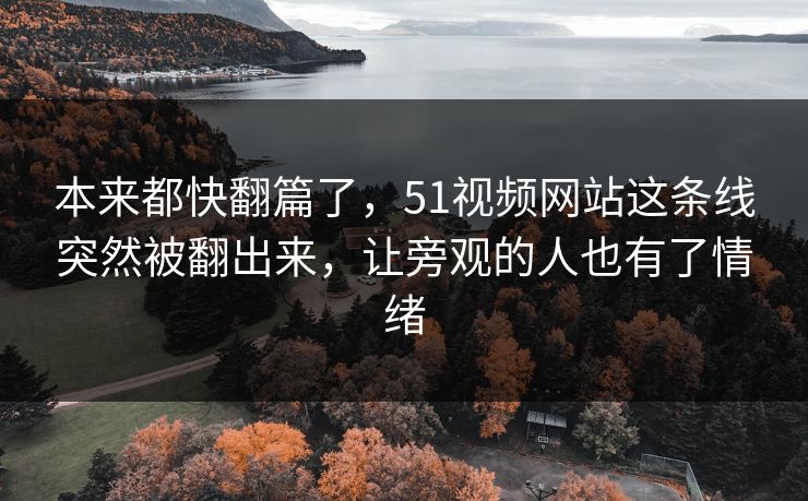 本来都快翻篇了，51视频网站这条线突然被翻出来，让旁观的人也有了情绪